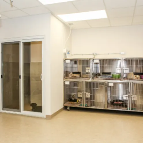Treatment Room Kennels